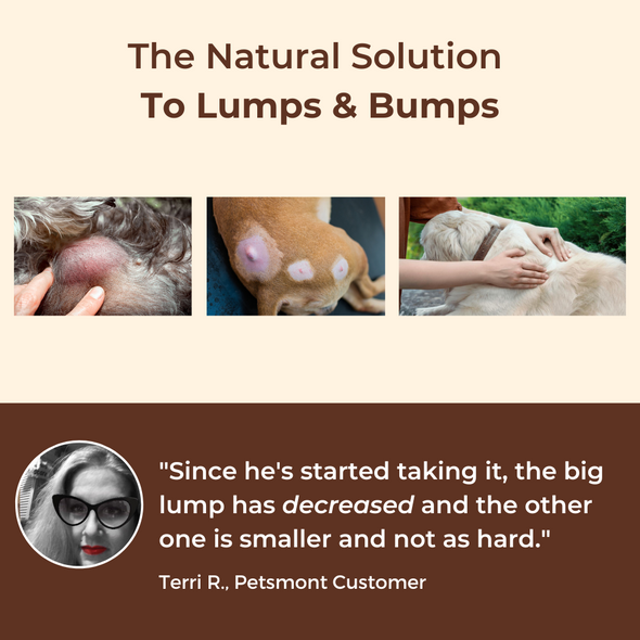 PETSMONT BUDDY GUARD: The Supplement For Dogs With Lumps & Bumps